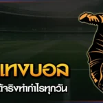 สูตรแทงบอล Chokbet