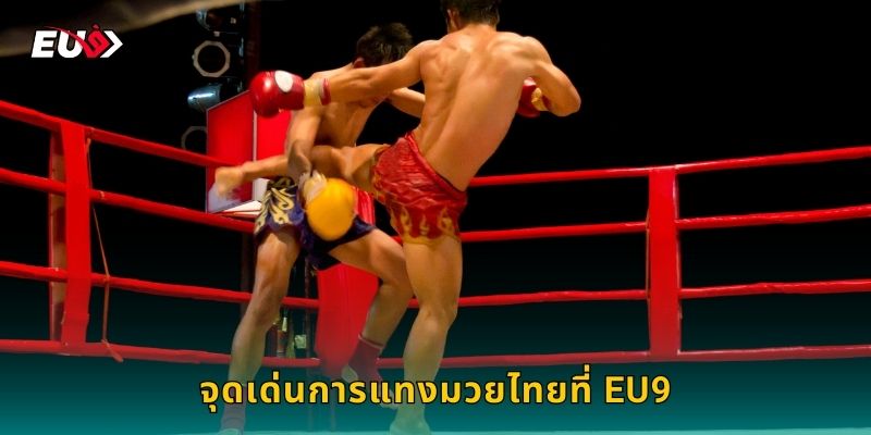 จุดเด่นการแทงมวยไทยที่ EU9