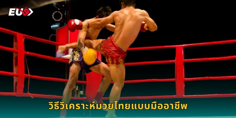วิธีวิเคราะห์มวยไทยแบบมืออาชีพ